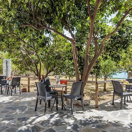 Lemon Trees I * Skopelos Town